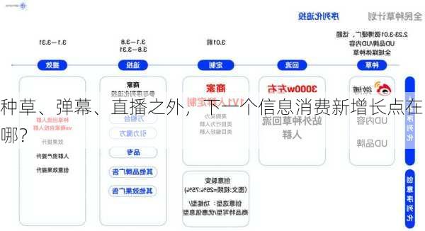 种草、弹幕、直播之外，下一个信息消费新增长点在哪？