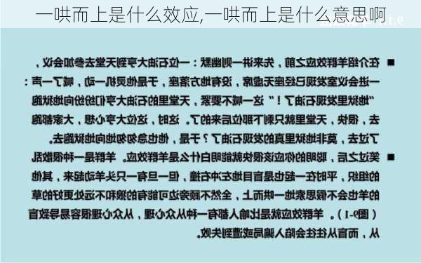 一哄而上是什么效应,一哄而上是什么意思啊