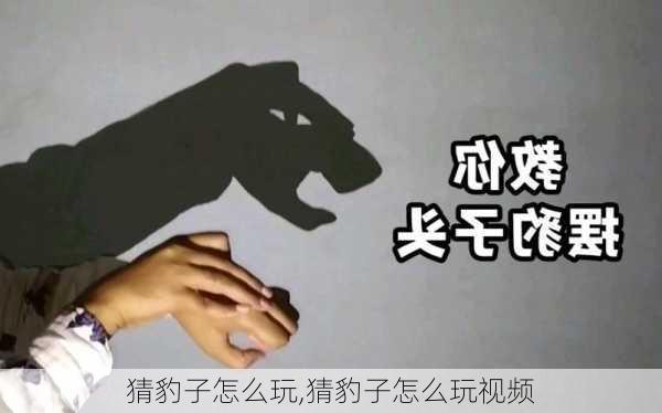 猜豹子怎么玩,猜豹子怎么玩视频