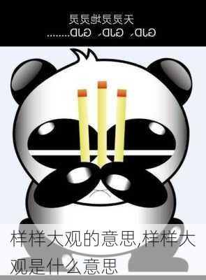 样样大观的意思,样样大观是什么意思