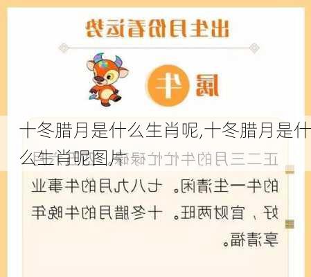 十冬腊月是什么生肖呢,十冬腊月是什么生肖呢图片