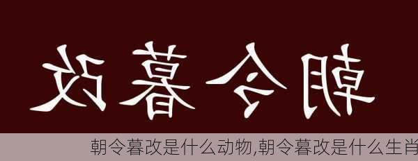 朝令暮改是什么动物,朝令暮改是什么生肖