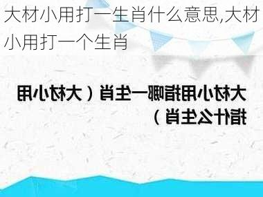 大材小用打一生肖什么意思,大材小用打一个生肖