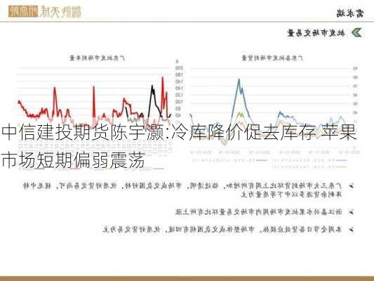 中信建投期货陈宇灏:冷库降价促去库存 苹果市场短期偏弱震荡