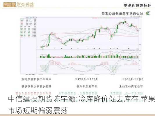 中信建投期货陈宇灏:冷库降价促去库存 苹果市场短期偏弱震荡