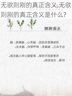 无欲则刚的真正含义,无欲则刚的真正含义是什么?