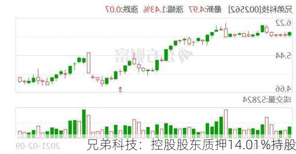 兄弟科技：控股股东质押14.01%持股