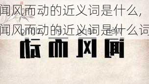 闻风而动的近义词是什么,闻风而动的近义词是什么词