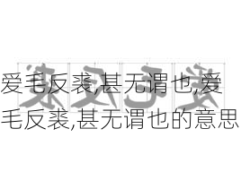 爱毛反裘,甚无谓也,爱毛反裘,甚无谓也的意思