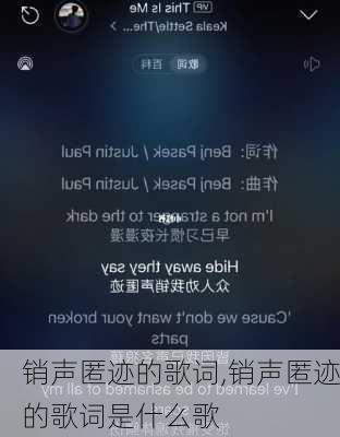 销声匿迹的歌词,销声匿迹的歌词是什么歌