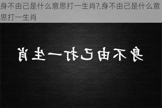 身不由己是什么意思打一生肖?,身不由己是什么意思打一生肖