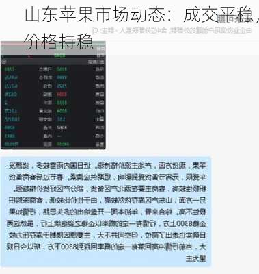 山东苹果市场动态：成交平稳，价格持稳