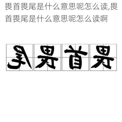 畏首畏尾是什么意思呢怎么读,畏首畏尾是什么意思呢怎么读啊