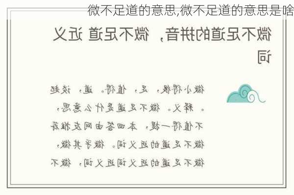 微不足道的意思,微不足道的意思是啥