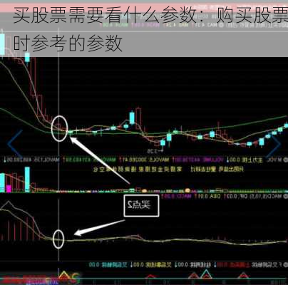 买股票需要看什么参数：购买股票时参考的参数