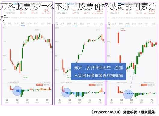 万科股票为什么不涨：股票价格波动的因素分析