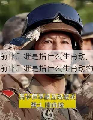 前仆后继是指什么生肖动,前仆后继是指什么生肖动物