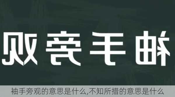 袖手旁观的意思是什么,不知所措的意思是什么