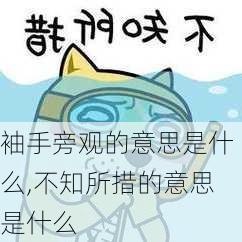 袖手旁观的意思是什么,不知所措的意思是什么