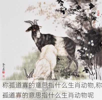 称孤道寡的意思指什么生肖动物,称孤道寡的意思指什么生肖动物呢