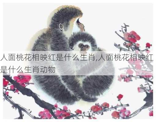 人面桃花相映红是什么生肖,人面桃花相映红是什么生肖动物