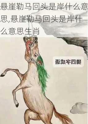 悬崖勒马回头是岸什么意思,悬崖勒马回头是岸什么意思生肖