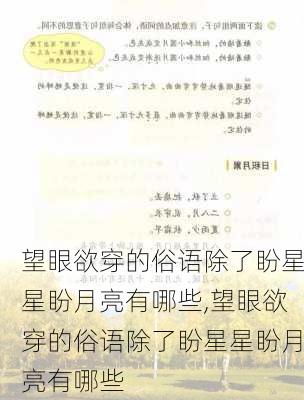 望眼欲穿的俗语除了盼星星盼月亮有哪些,望眼欲穿的俗语除了盼星星盼月亮有哪些