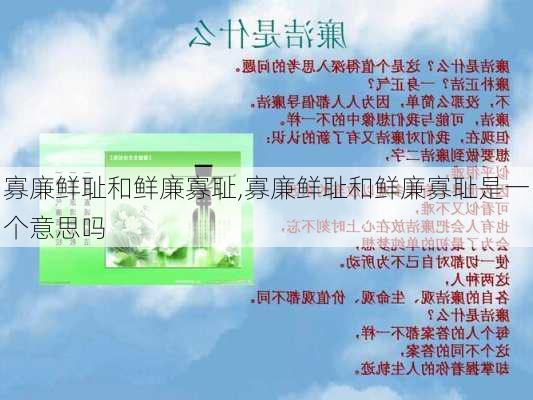 寡廉鲜耻和鲜廉寡耻,寡廉鲜耻和鲜廉寡耻是一个意思吗