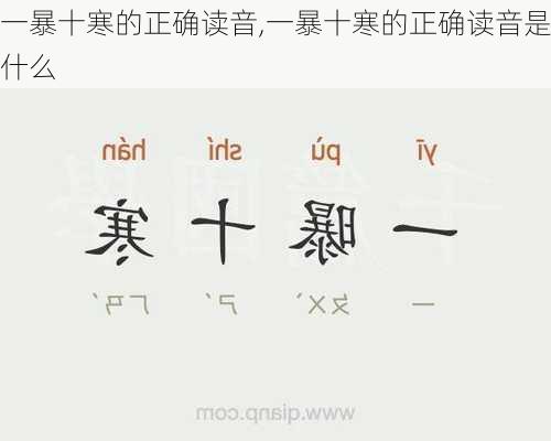 一暴十寒的正确读音,一暴十寒的正确读音是什么
