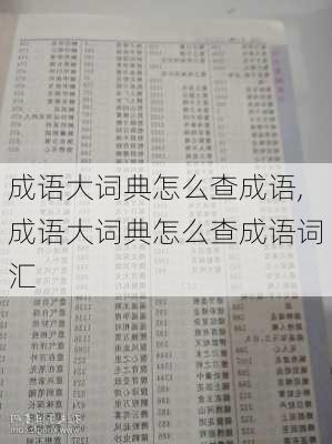 成语大词典怎么查成语,成语大词典怎么查成语词汇