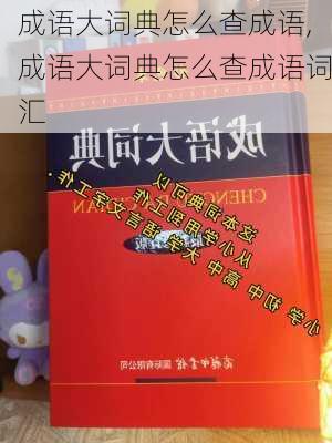 成语大词典怎么查成语,成语大词典怎么查成语词汇