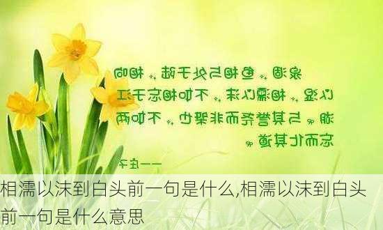 相濡以沫到白头前一句是什么,相濡以沫到白头前一句是什么意思