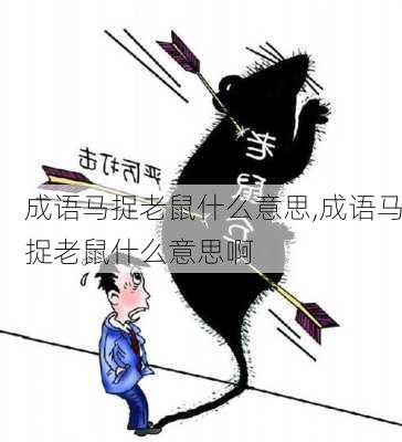 成语马捉老鼠什么意思,成语马捉老鼠什么意思啊