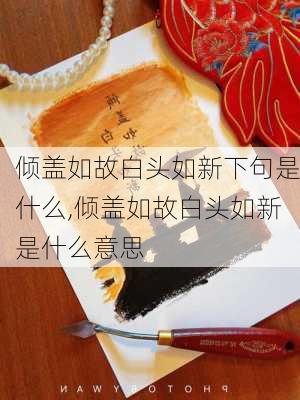 倾盖如故白头如新下句是什么,倾盖如故白头如新是什么意思