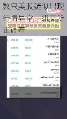 数只美股疑似出现行情异常，纽交所正调查