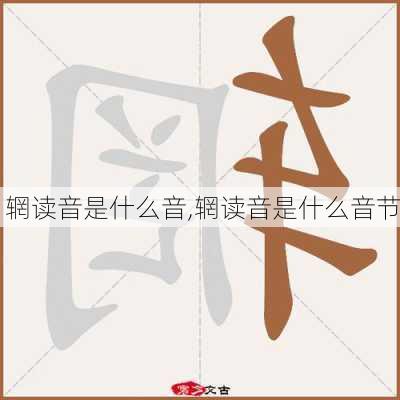 辋读音是什么音,辋读音是什么音节