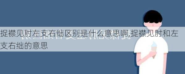 捉襟见肘左支右绌区别是什么意思啊,捉襟见肘和左支右绌的意思