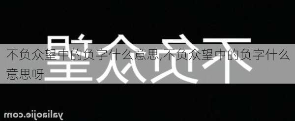 不负众望中的负字什么意思,不负众望中的负字什么意思呀