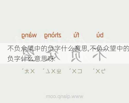 不负众望中的负字什么意思,不负众望中的负字什么意思呀