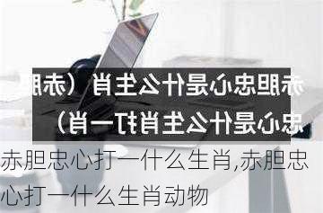 赤胆忠心打一什么生肖,赤胆忠心打一什么生肖动物