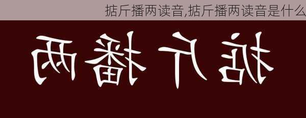 掂斤播两读音,掂斤播两读音是什么