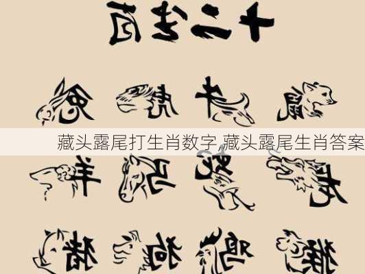 藏头露尾打生肖数字,藏头露尾生肖答案