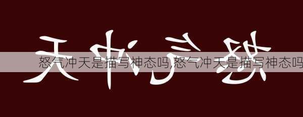 怒气冲天是描写神态吗,怒气冲天是描写神态吗