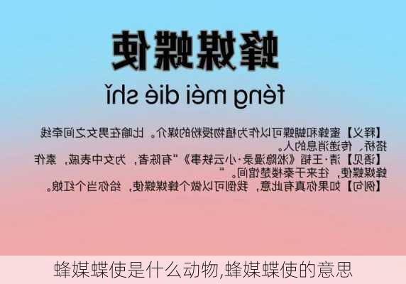 蜂媒蝶使是什么动物,蜂媒蝶使的意思