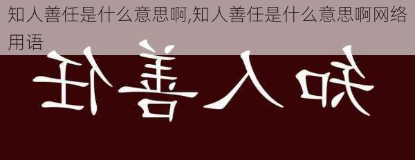 知人善任是什么意思啊,知人善任是什么意思啊网络用语