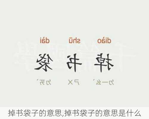 掉书袋子的意思,掉书袋子的意思是什么