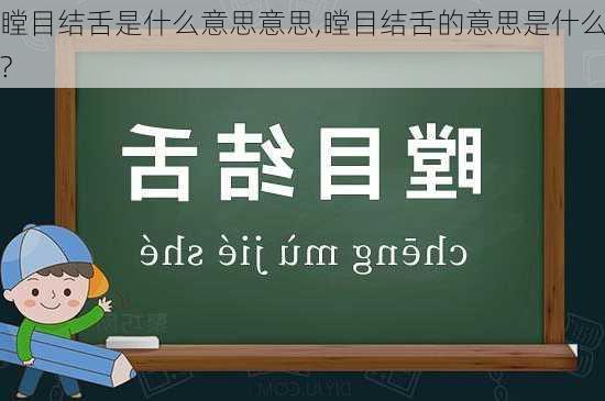 瞠目结舌是什么意思意思,瞠目结舌的意思是什么?