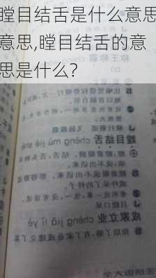 瞠目结舌是什么意思意思,瞠目结舌的意思是什么?