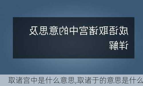 取诸宫中是什么意思,取诸于的意思是什么