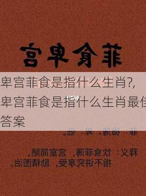 卑宫菲食是指什么生肖?,卑宫菲食是指什么生肖最佳答案